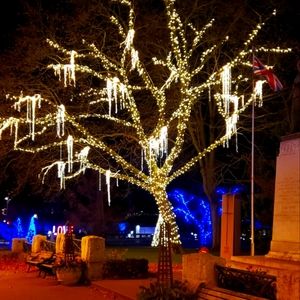 Meet your Posher, Bea